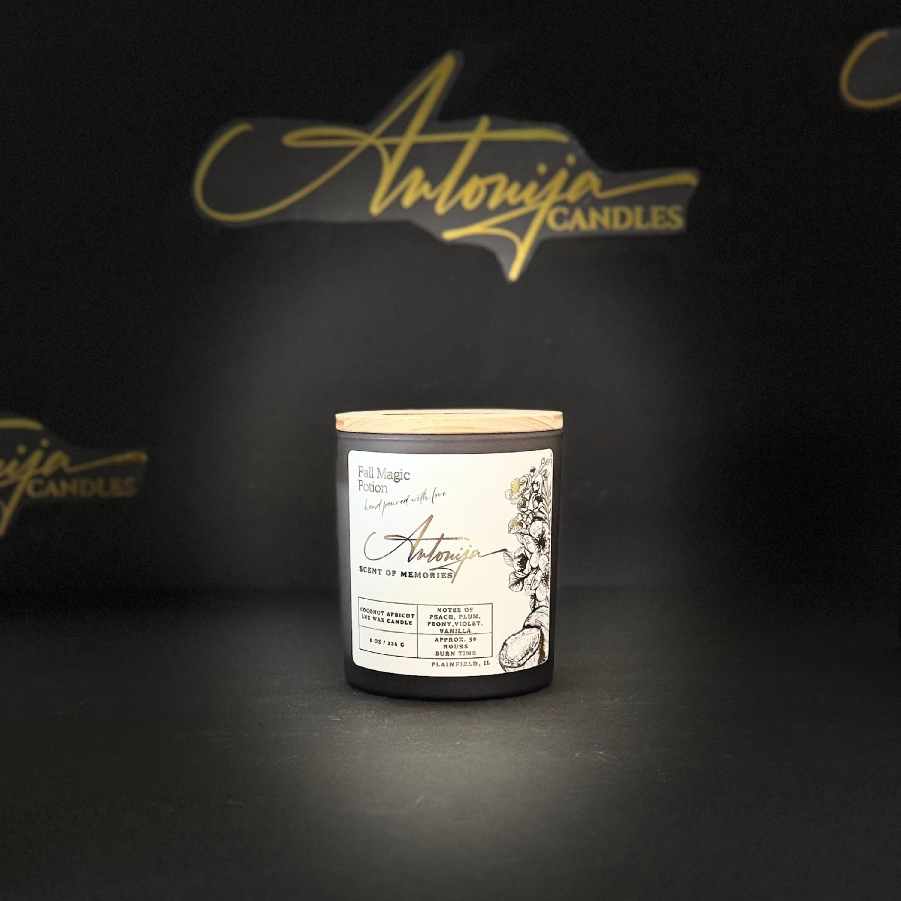 FALL MAGIC POTION Candle