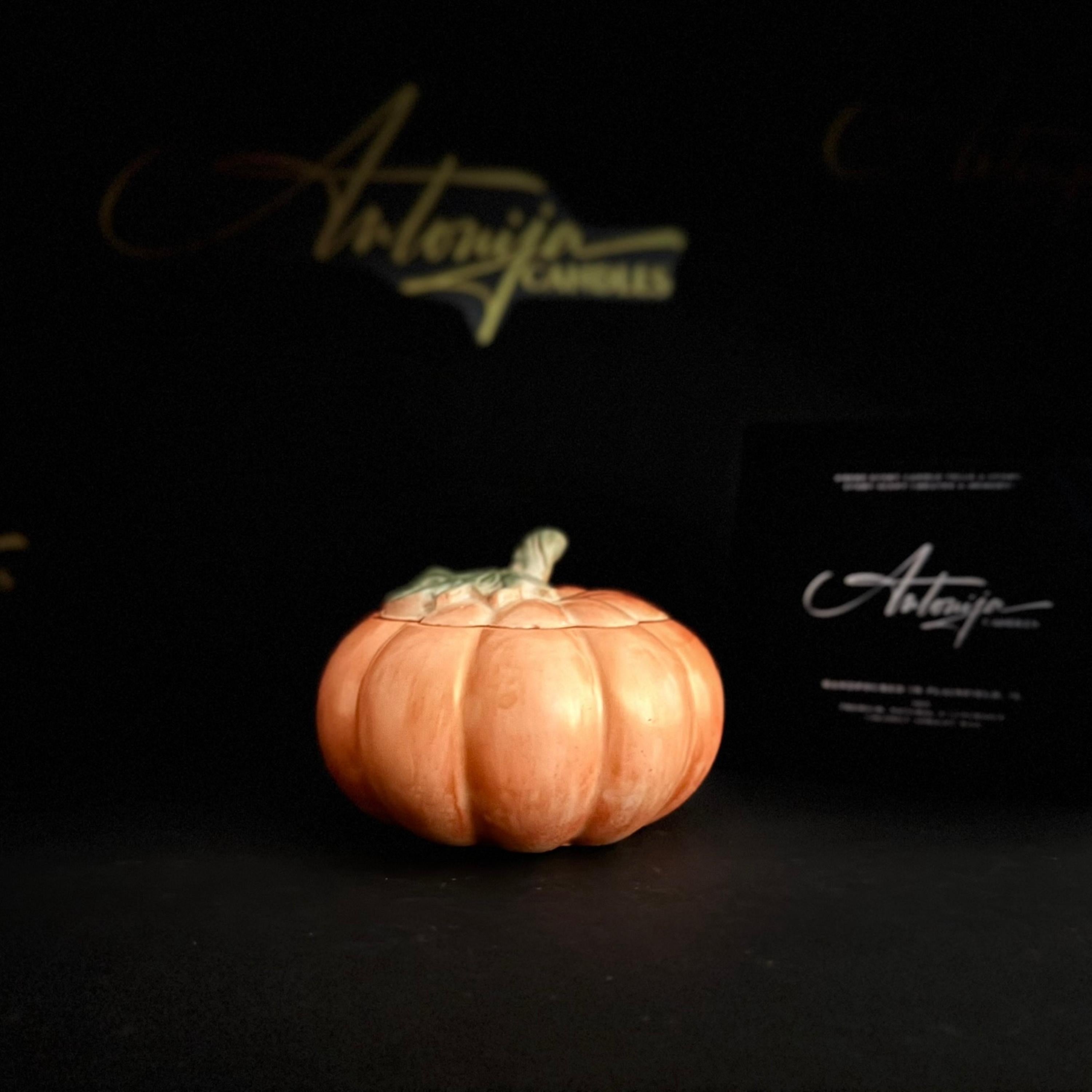 Pumpkin Candle Decor, Vessel, Storage - Resin, Natural Beeswax, Coconut-Apricot Wax, Custom Made, Pumpkin Resin Storage Box, Pumpkin Spice Candle, Fall Decor, Fall Candle