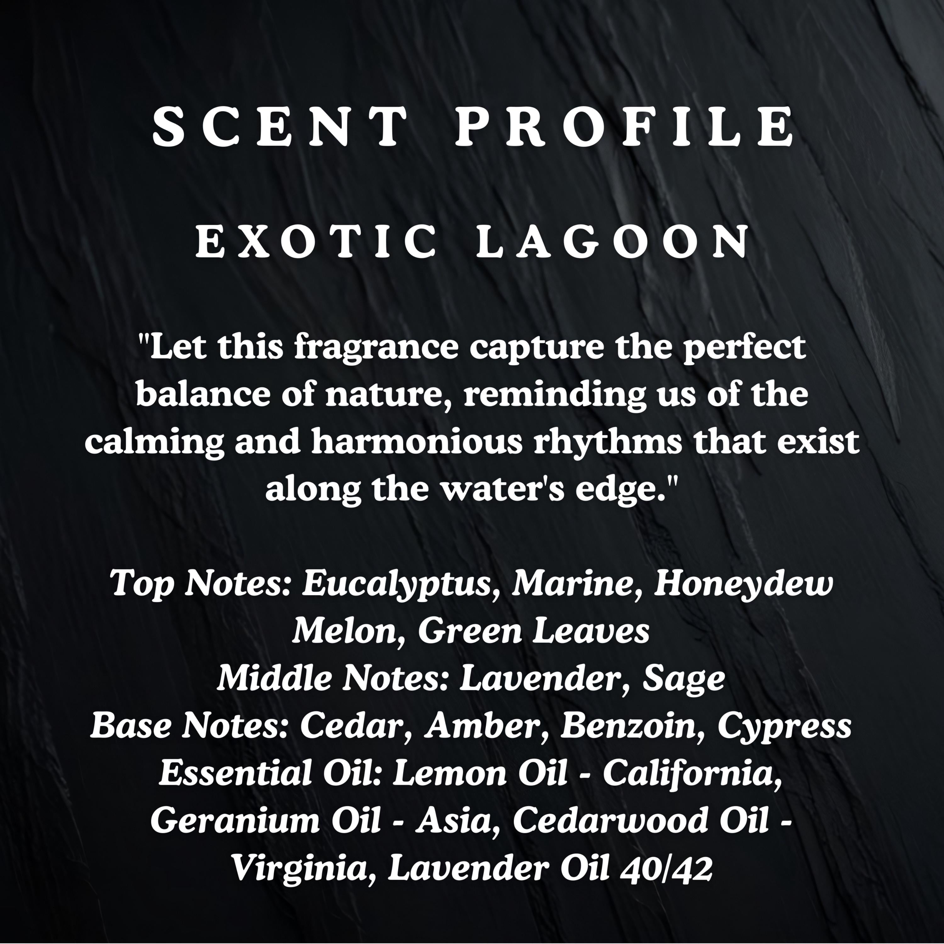 EXOTIC LAGOON - Petite Candle - 3oz