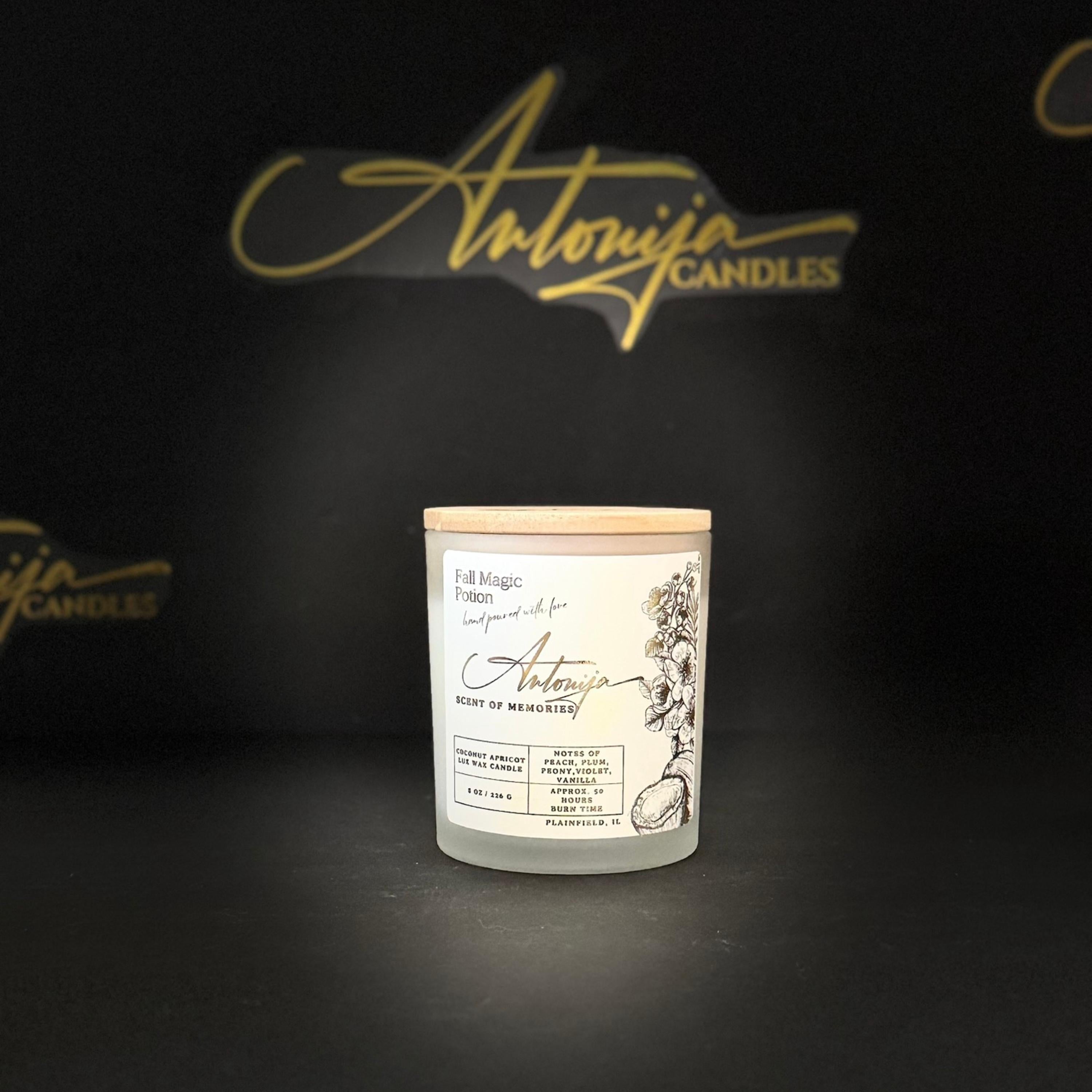 FALL MAGIC POTION Candle