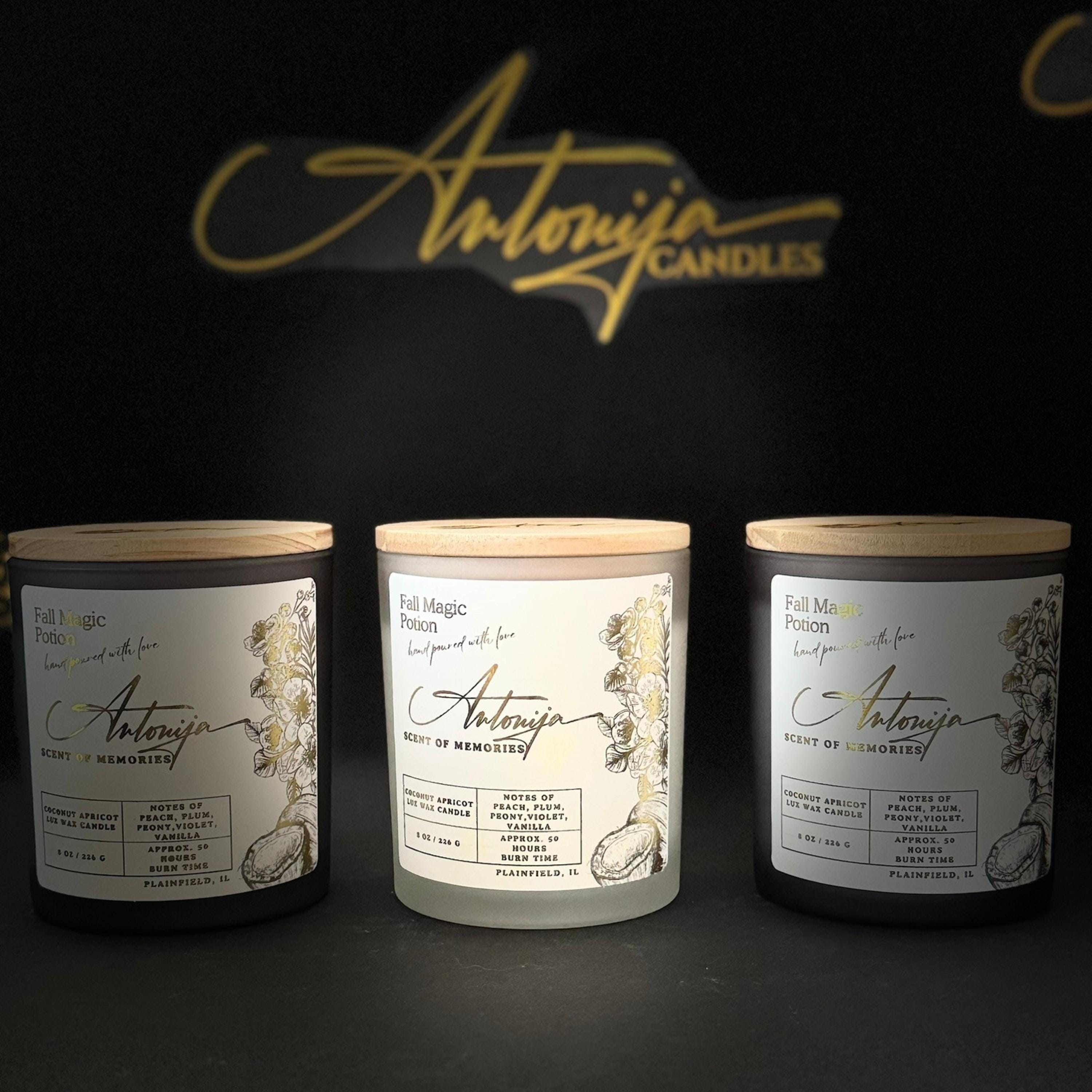 FALL MAGIC POTION Candle